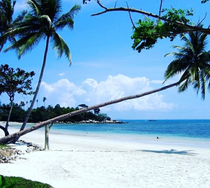Bintan Piknik景点图片