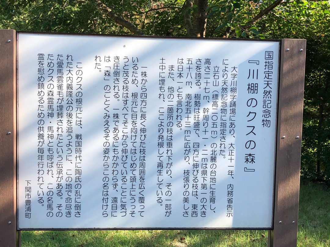 Shimonoseki City Kawatana no Kusu no Mori-下关市必去景点