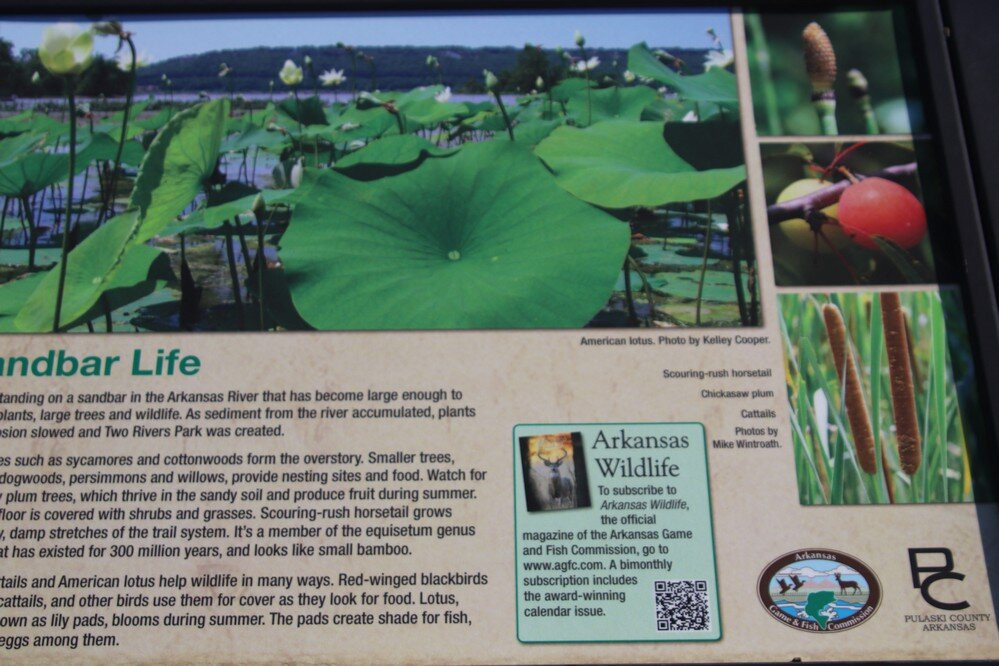 Two Rivers Park-小石城必去景点