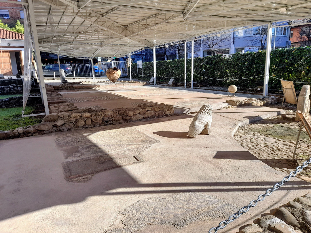 Mosaic of Tirana-地拉那必去景点