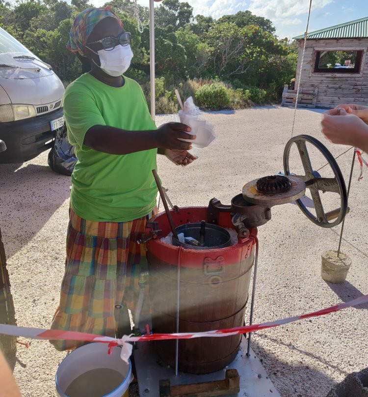 Pointe de la Grande Vigie-Anse-Bertrand必去景点