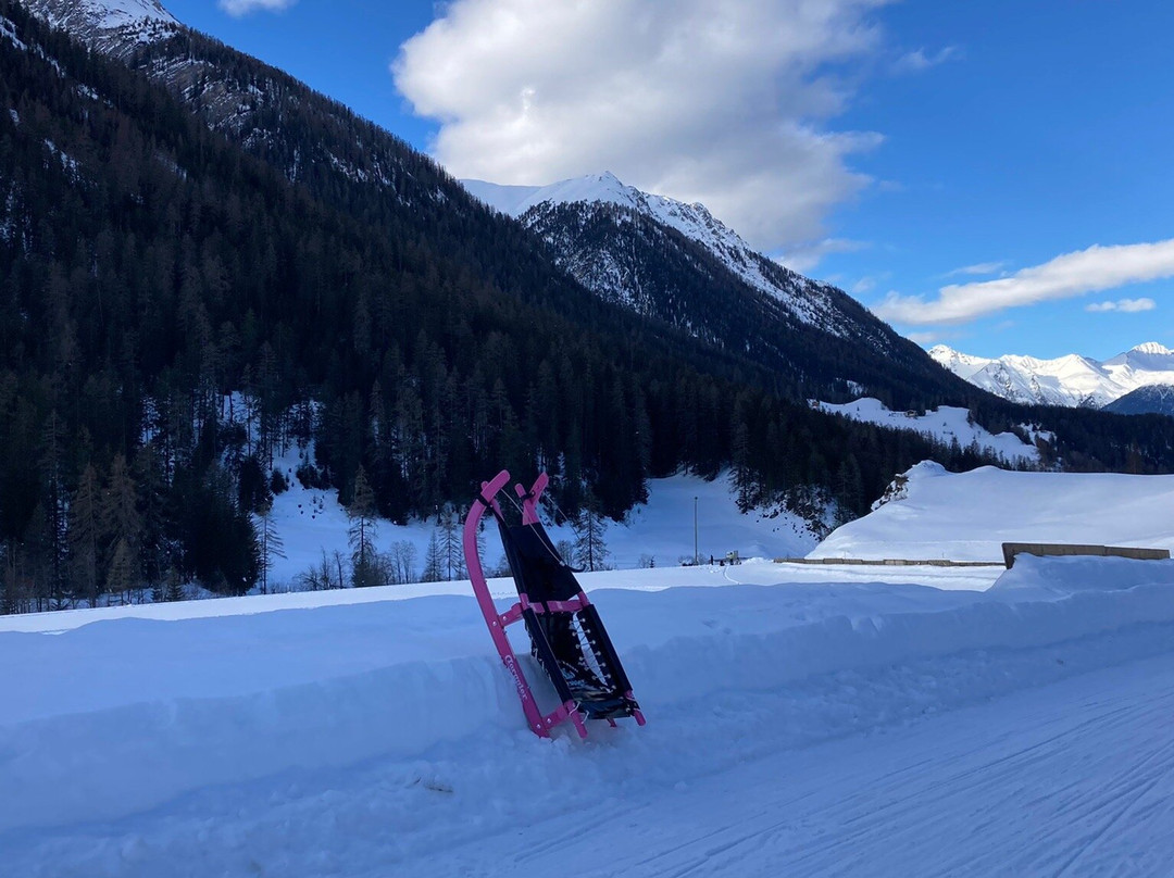 Schlittelbahn Preda Bergün景点图片