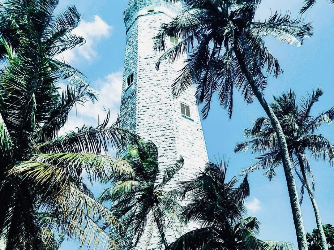 Dondra Head Lighthouse景点图片