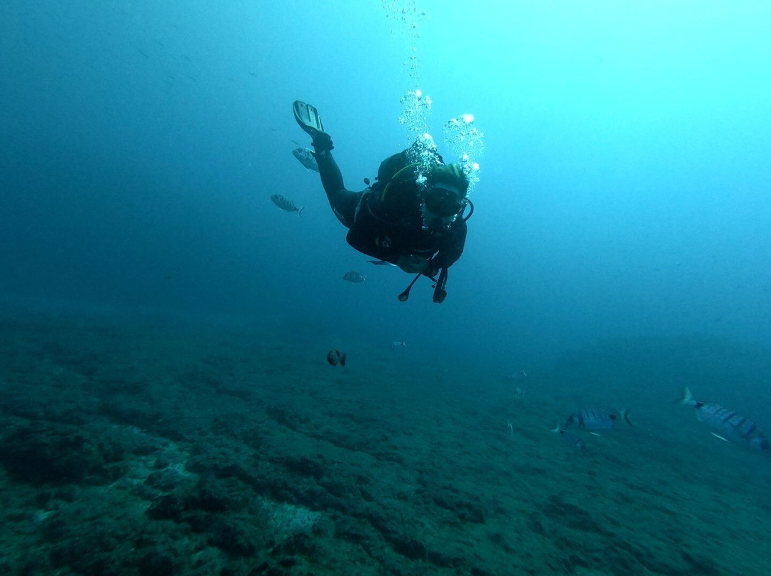 Dive Tenerife景点图片