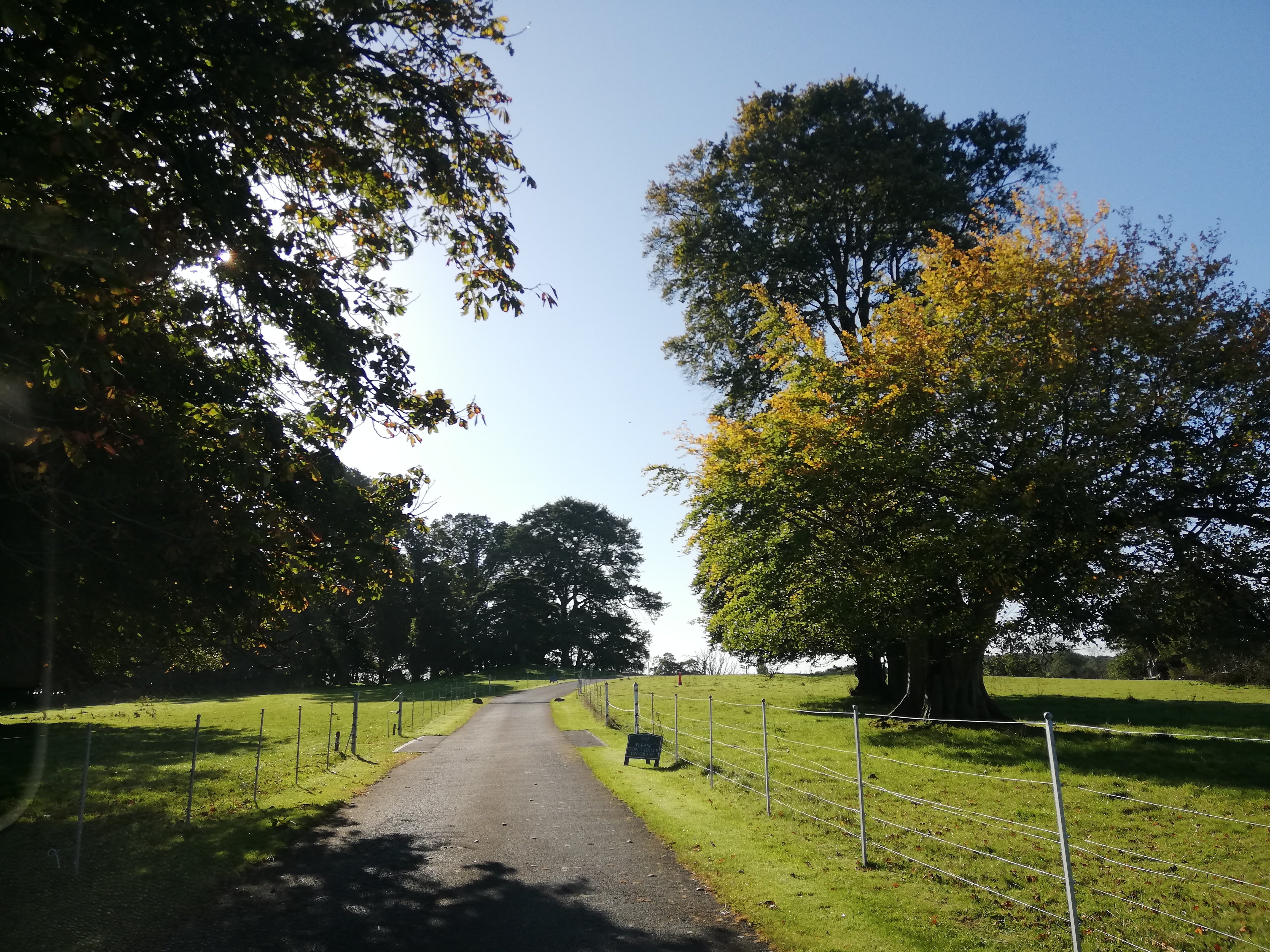 Ballykealey House-浴室