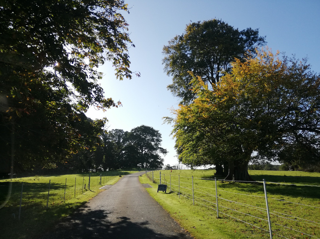 Ballykealey House主图