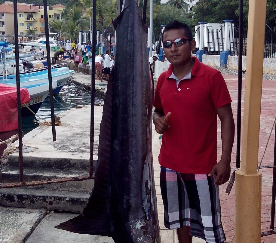 Gabriel sport fishing & bay tours-Crucecita必去景点