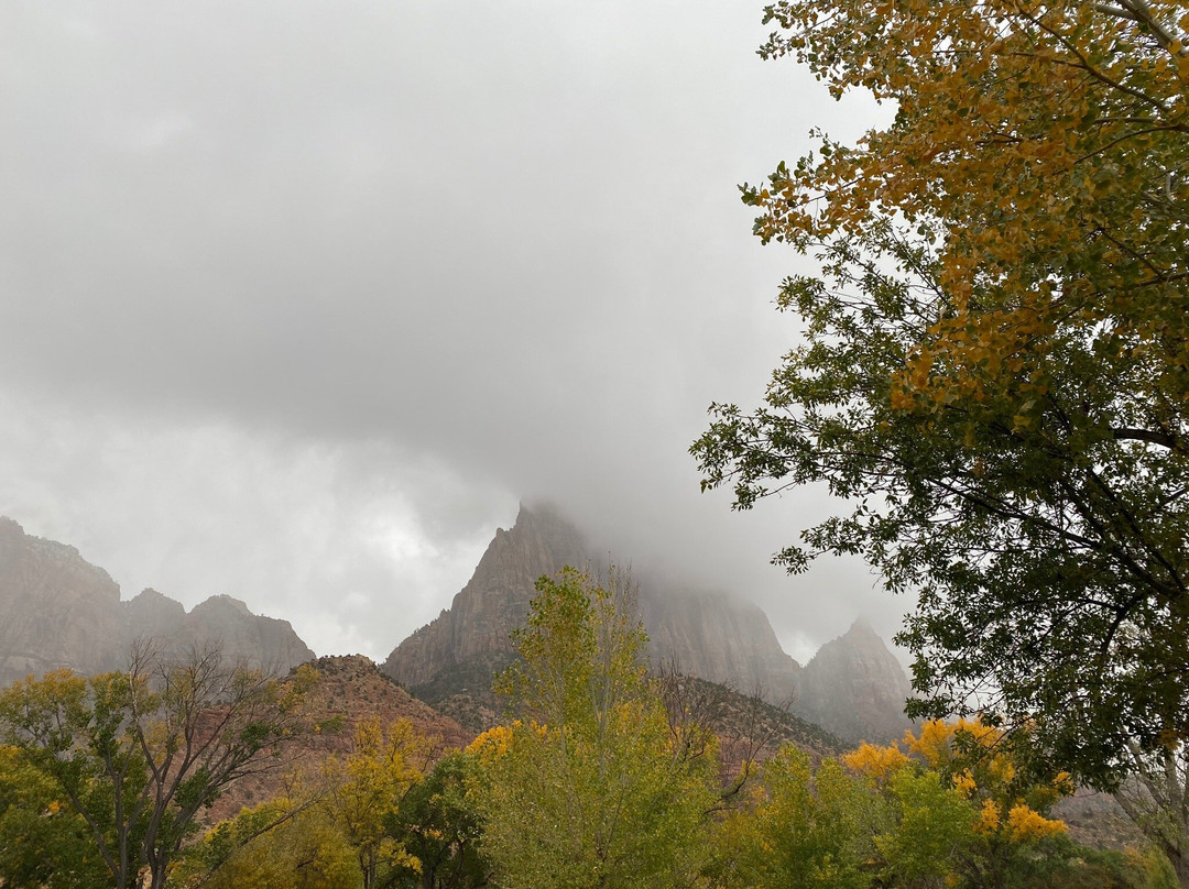 Zion - Mt. Carmel Highway-锡安国家公园必去景点