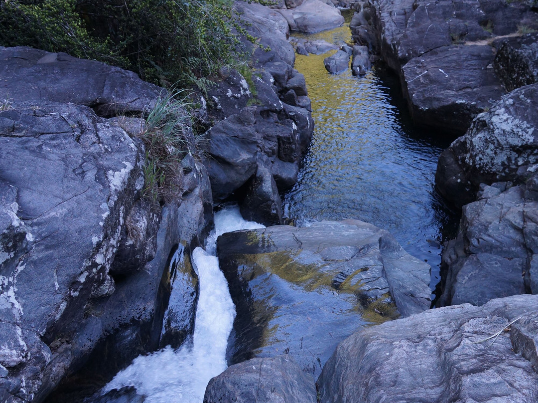 Knuckles Conservation Forest-Kandy District必去景点