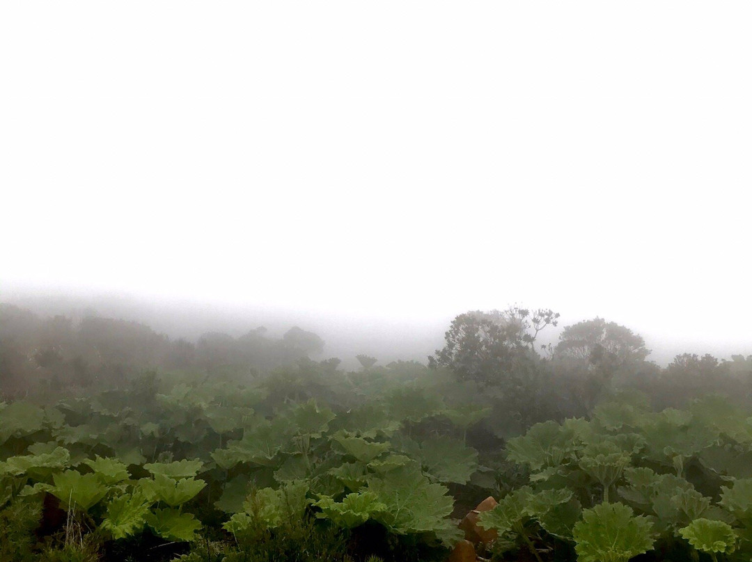 Pedra Furada-Urubici必去景点