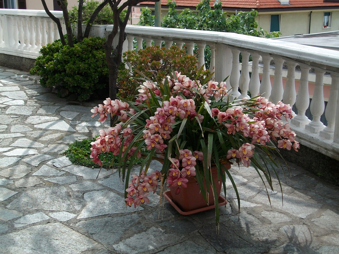 Hotel Villa Centa主图