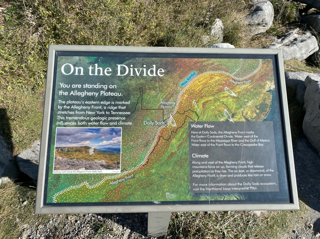 Dolly Sods Wilderness Area-Elkins必去景点