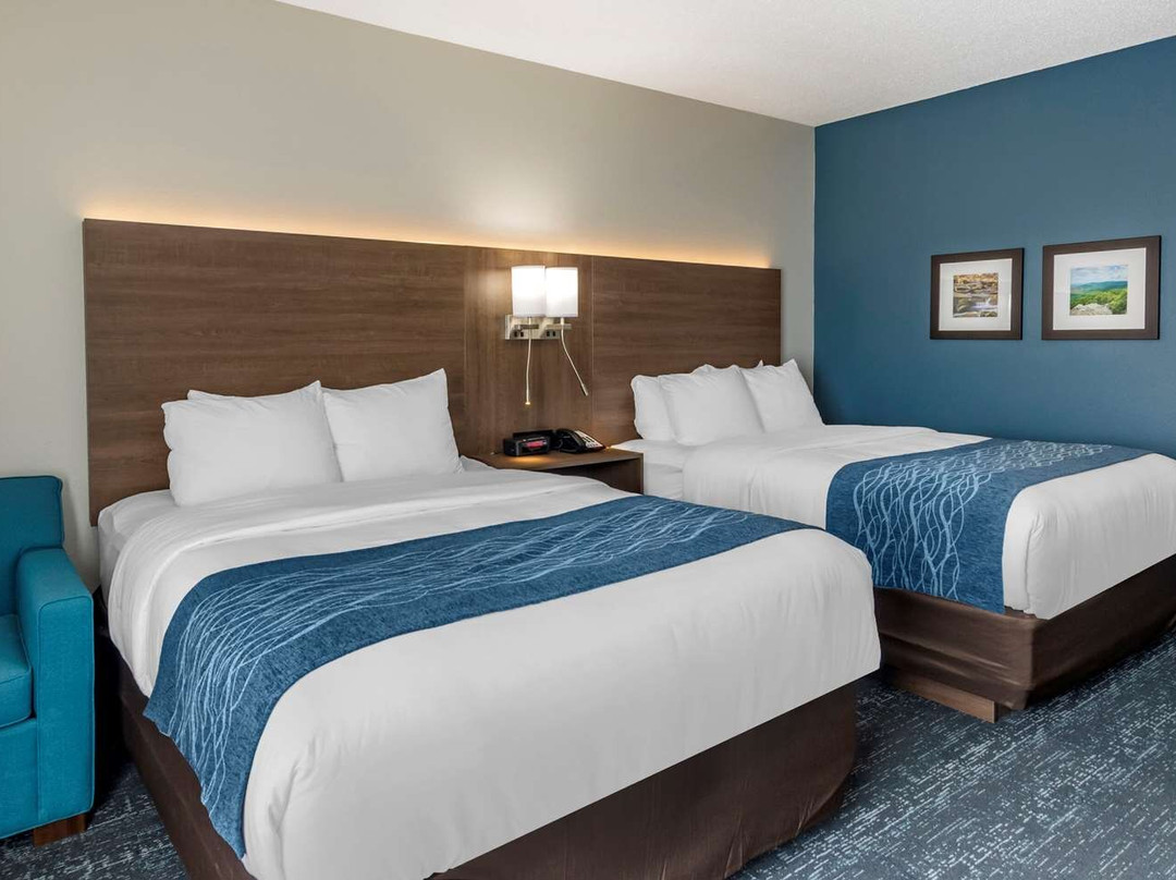 Comfort Inn & Suites Troutville - Roanoke North / Daleville主图