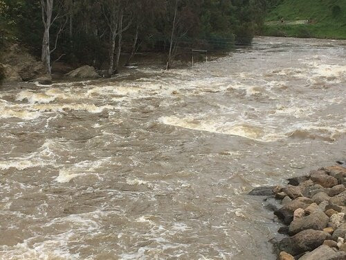 Yarra Bend Park-费尔菲尔德必去景点