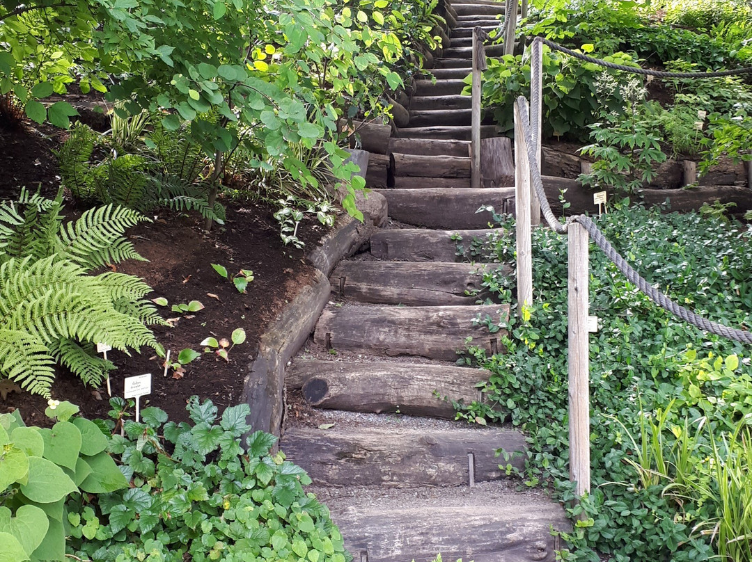 Tartu University Botanical Garden-塔尔图必去景点