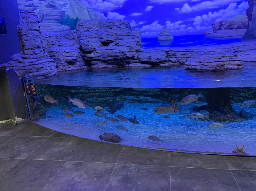 Funtastic Aquariums景点图片