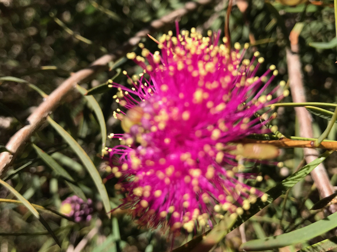 Tc Trewin Agricultural Museum-Goorambat必去景点