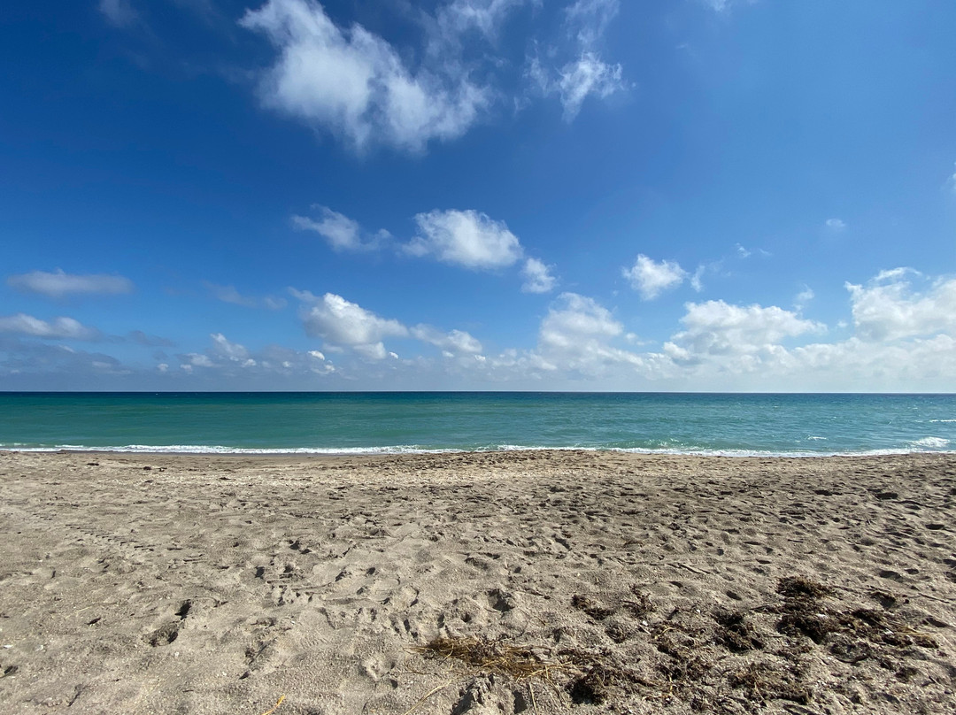 Jensen Beach Park景点图片