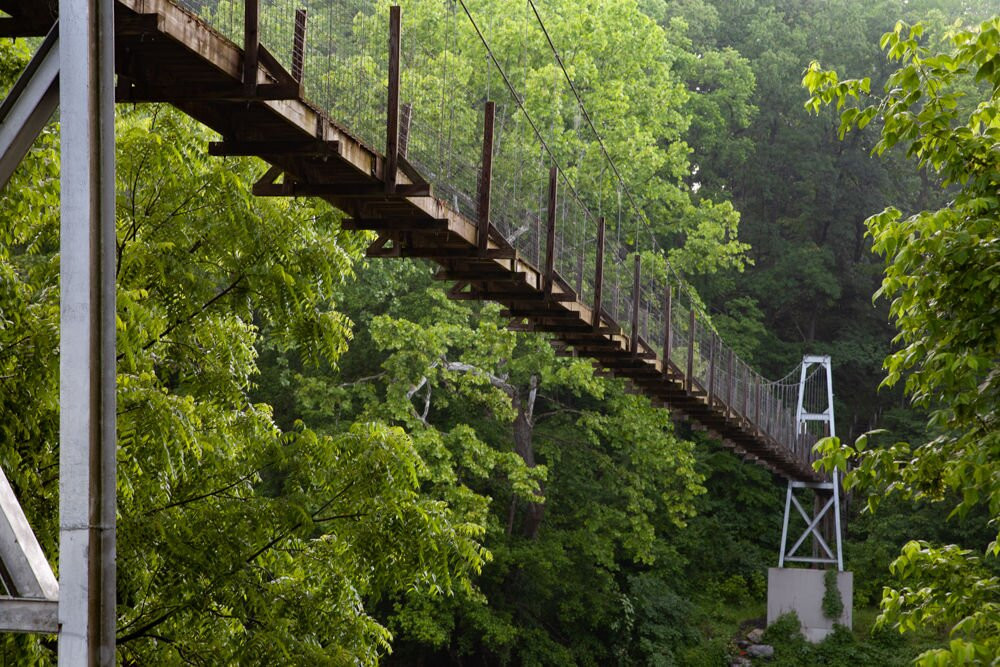 Muse Vineyards-Woodstock必去景点