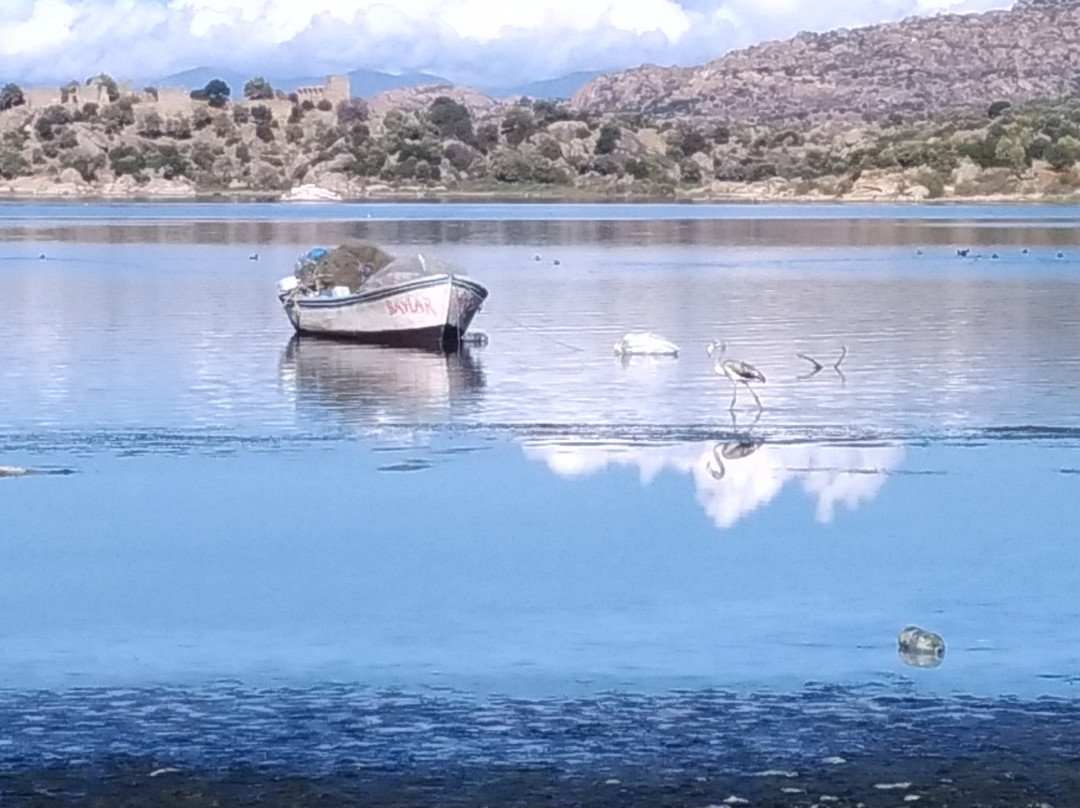 Lake Bafa Nature Park景点图片
