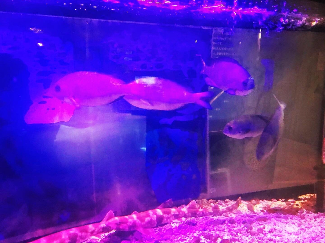 Marient-八户市必去景点