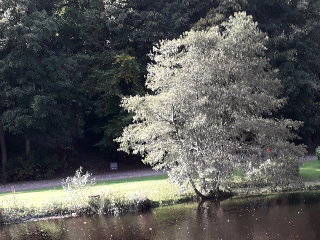 River Nidd Waterside Walk景点图片