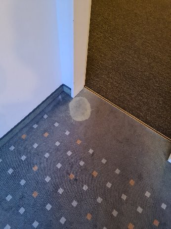 哈雷贝斯特韦斯特豪华城酒店主图