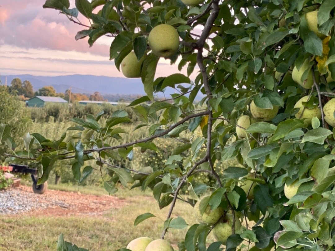 R & A Orchards-Ellijay必去景点