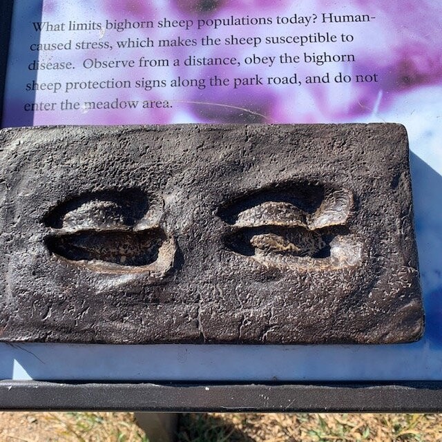 Sheep Lakes-落基山国家公园必去景点