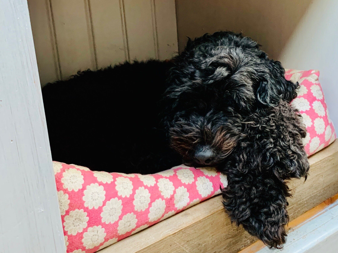 Very Nice Vegan Stays主图