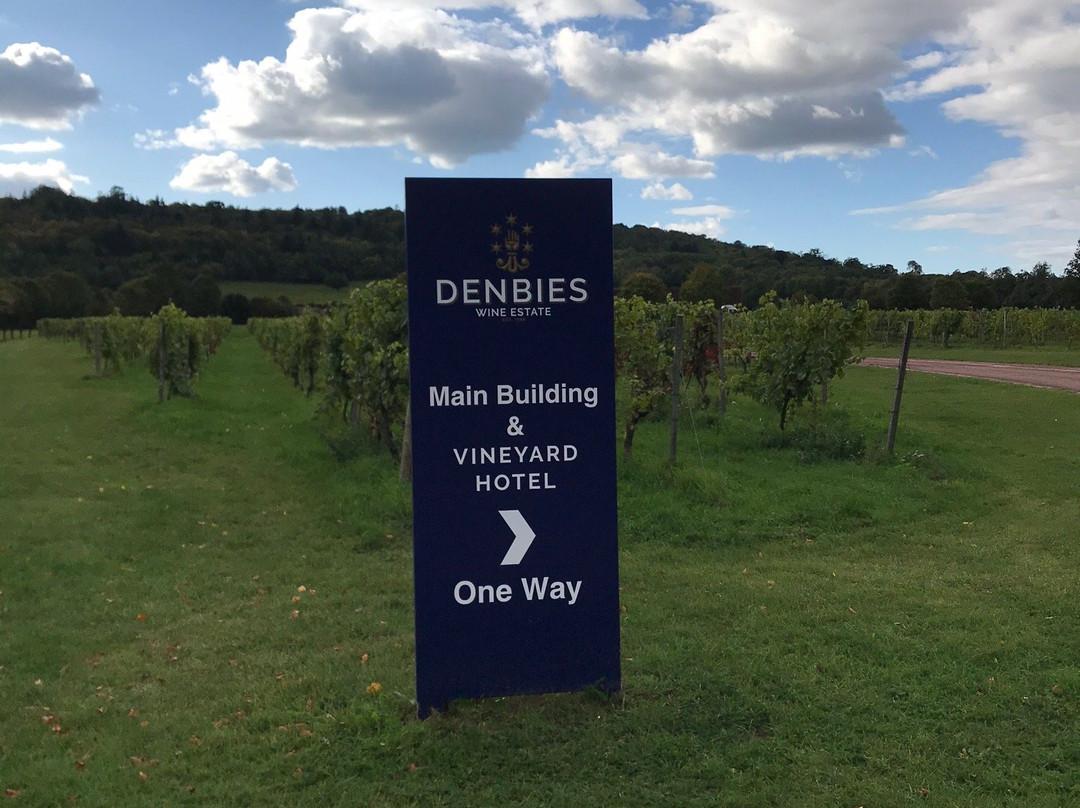 Denbies Wine Estate Ltd景点图片