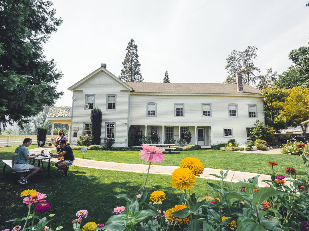 Del Rio Vineyards & Winery-Gold Hill必去景点