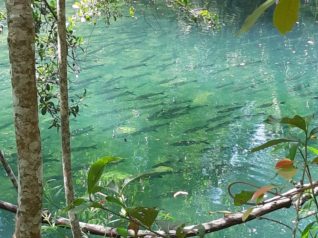 Pousada Boyrá主图