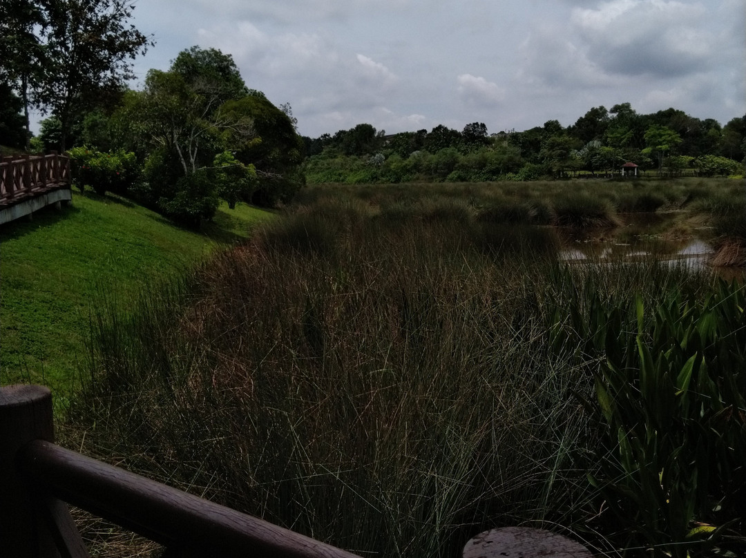 Putrajaya Wetlands Park-太子城必去景点