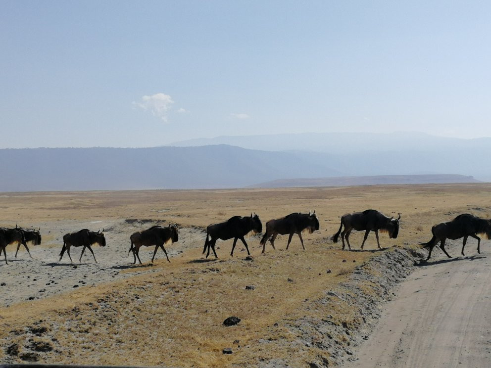 Ngurdoto Crater-阿鲁沙必去景点