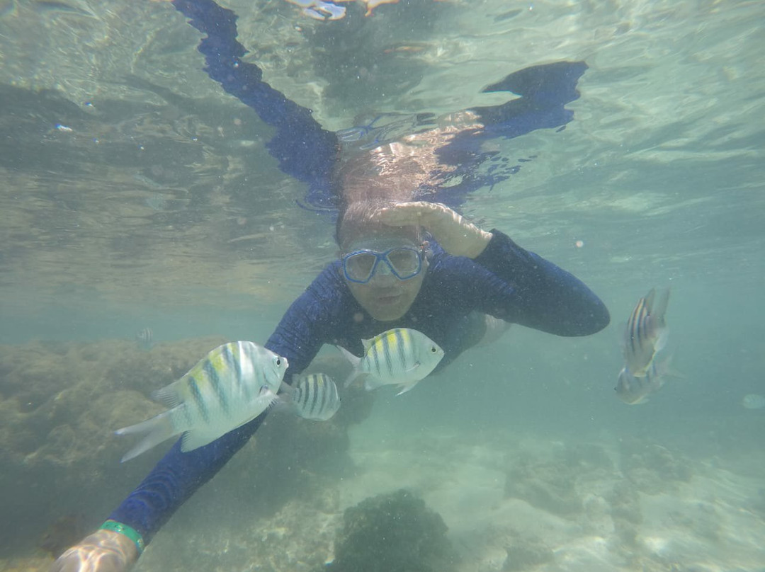 Top Passeios-Maragogi必去景点