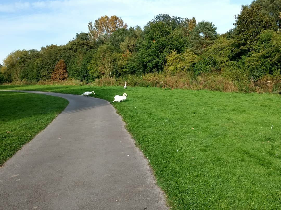 Sankey Valley Park-沃灵顿必去景点