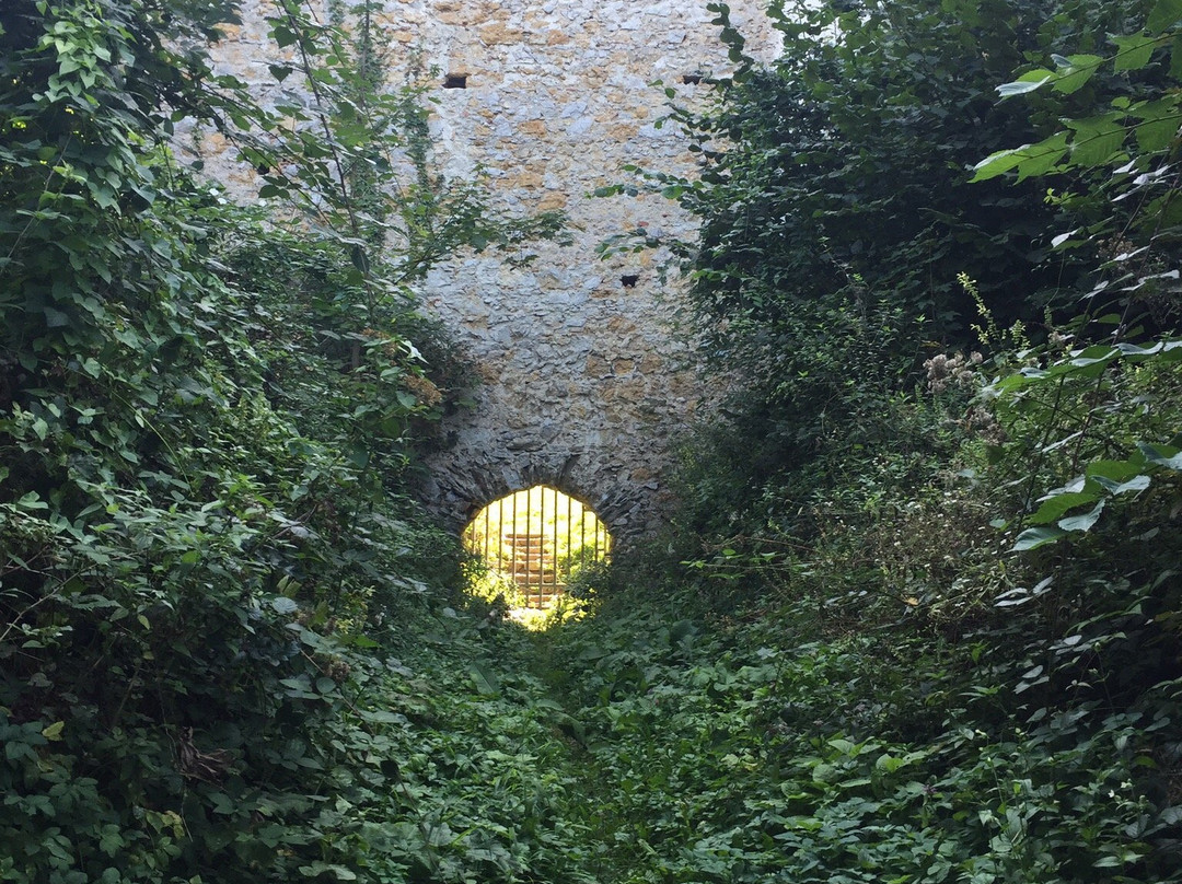 Celje Castle-Celje必去景点