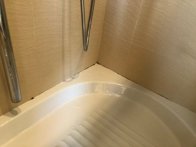 弗拉米尼亚酒店主图