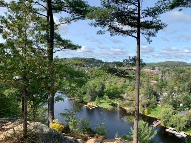 Lions Lookout-亨茨维尔必去景点