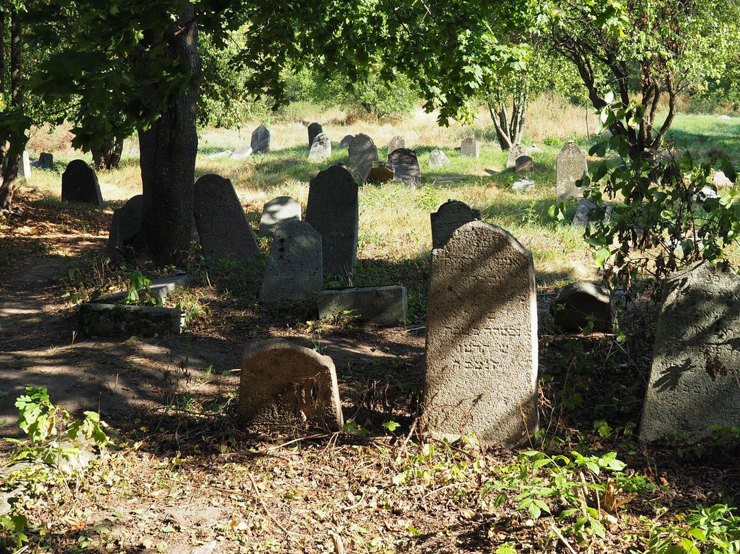 Jewish Old Cemetery In Krynki-Krynki必去景点