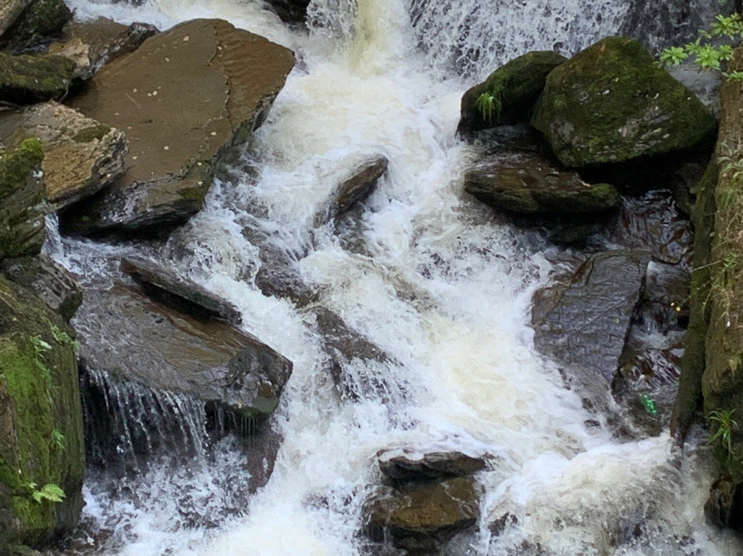 Devil's Bridge Waterfalls景点图片