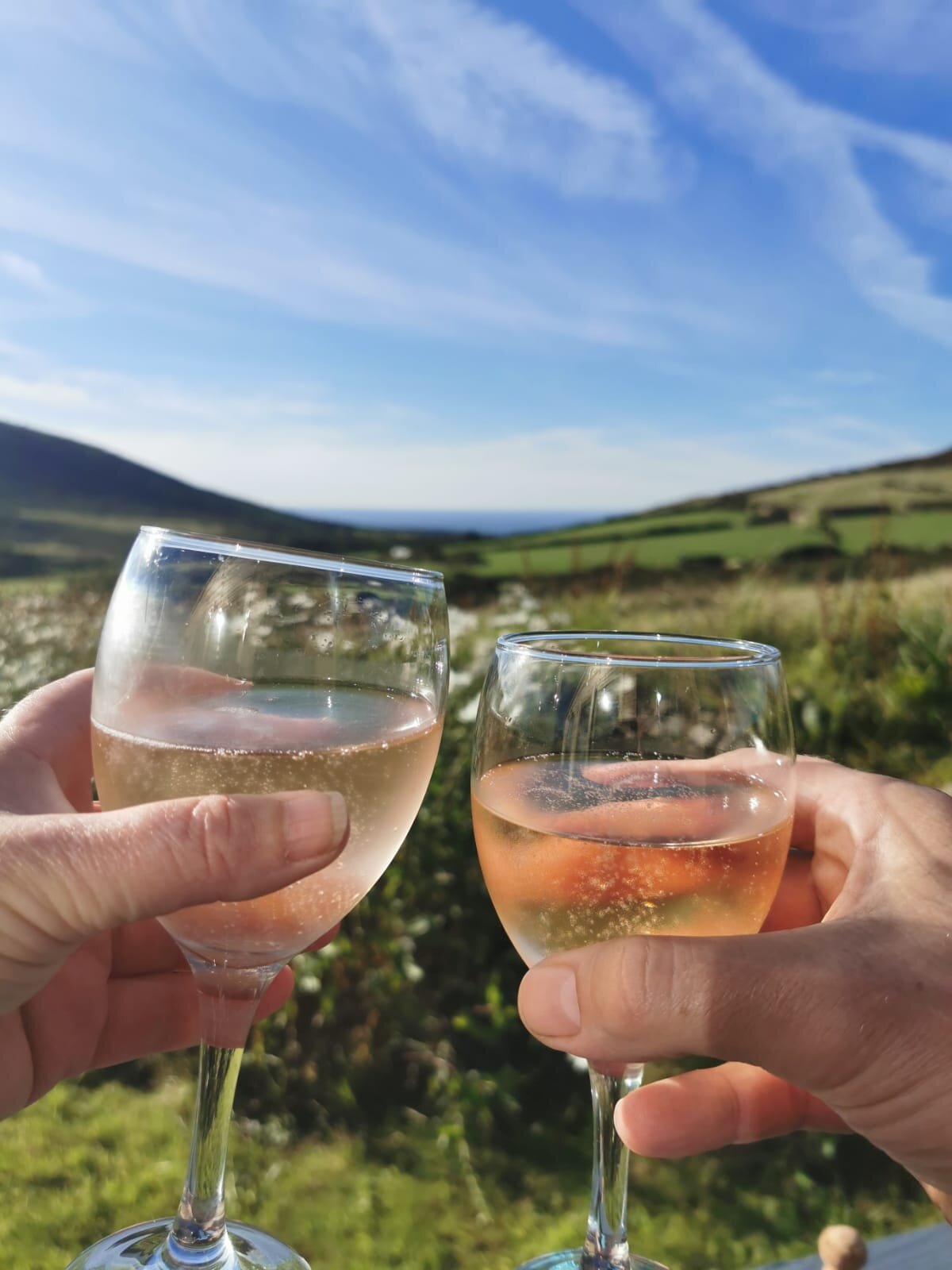 Breja Farmhouse-官方