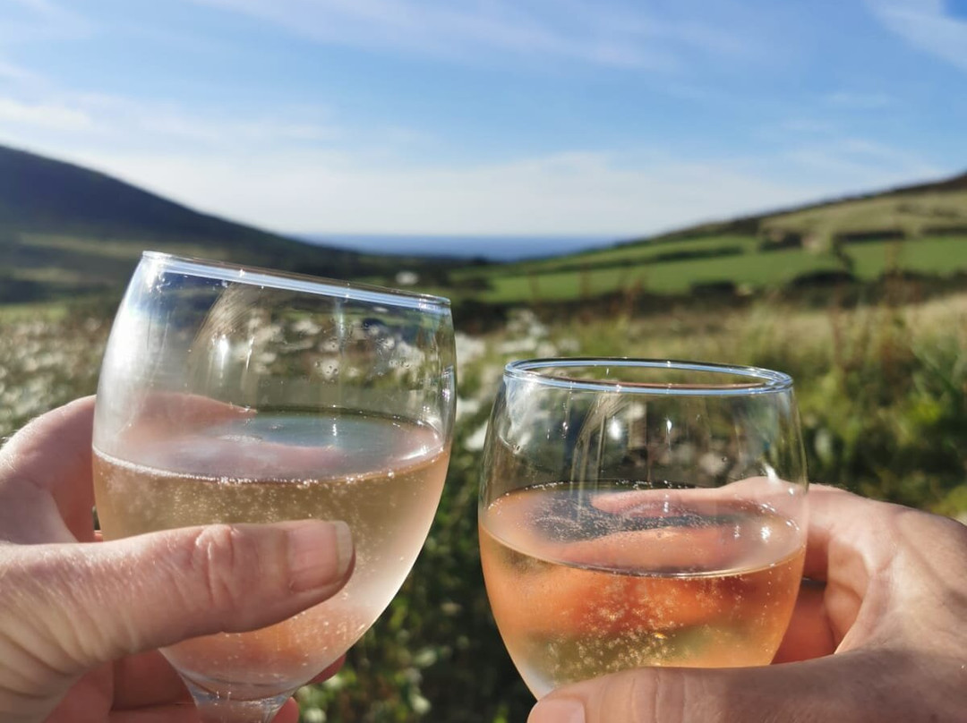 Breja Farmhouse主图