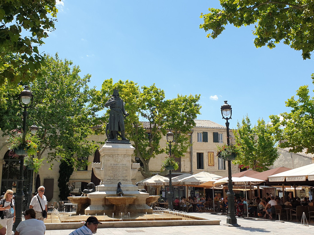 Place Saint Louis景点图片