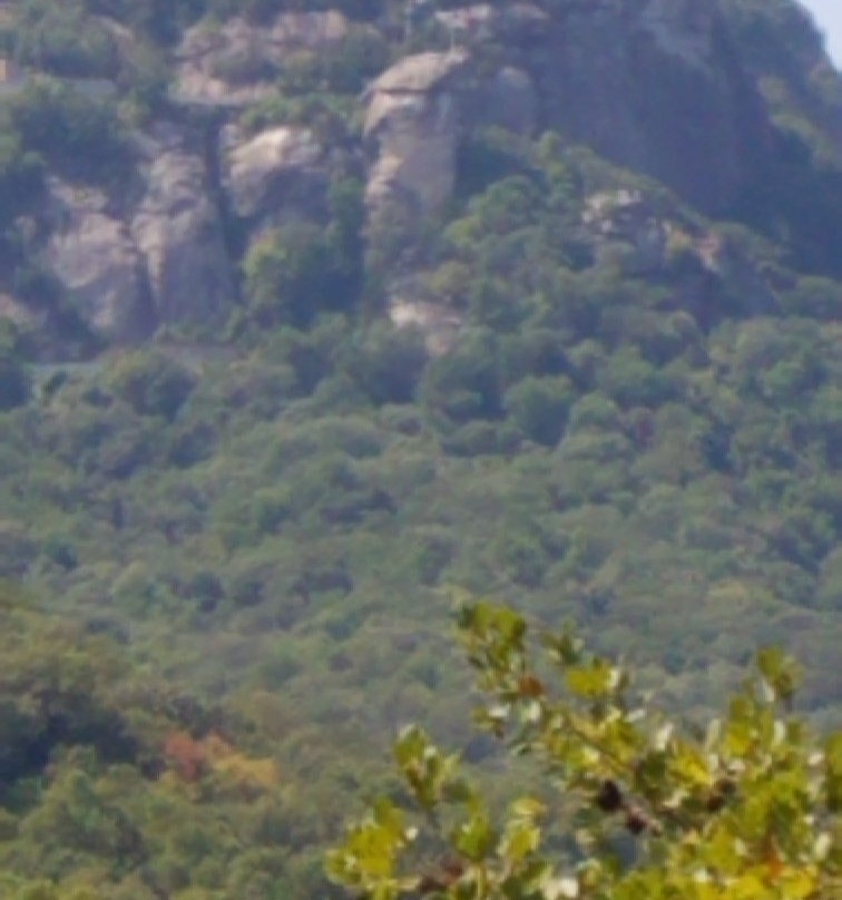 Lake Lure Tours-Lake Lure必去景点