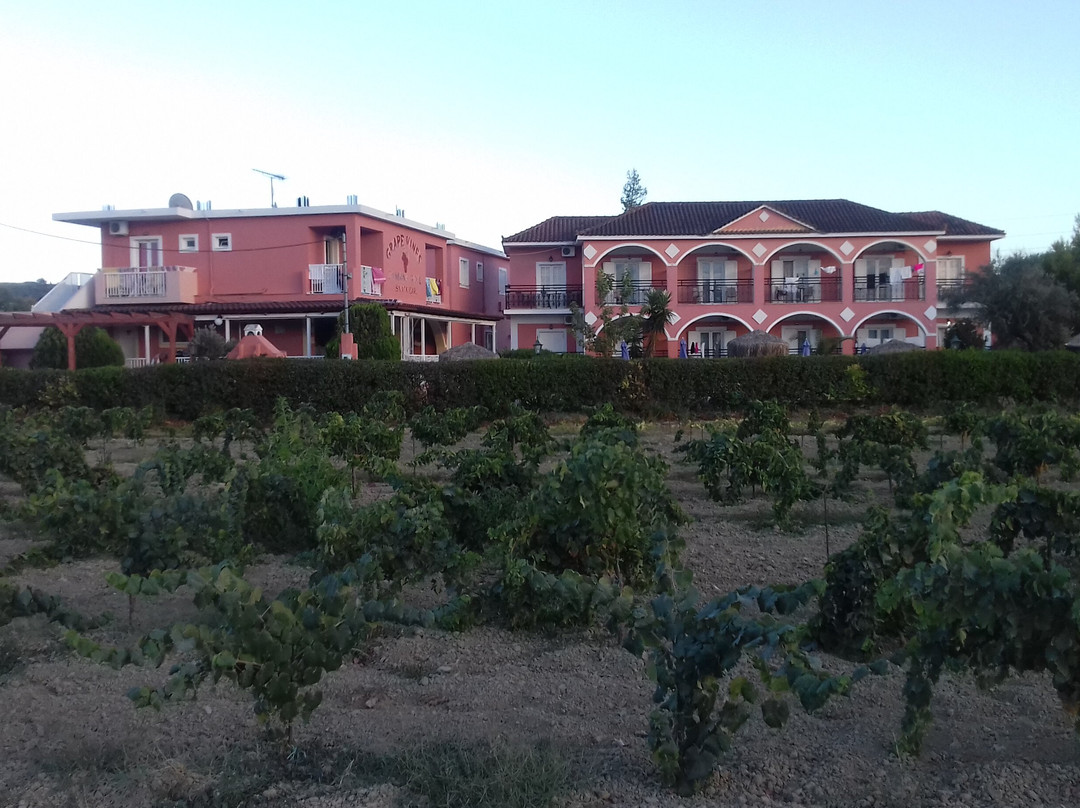 Grapevines Hotel主图