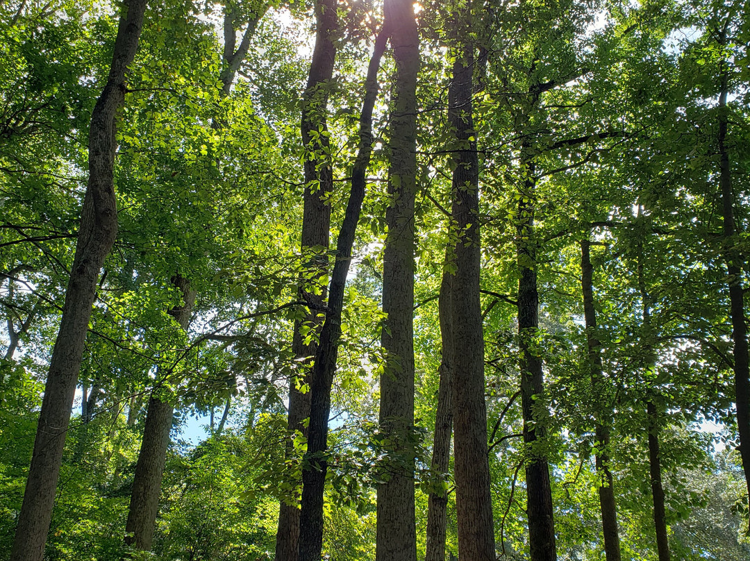 Bear Creek Lake State Park景点图片