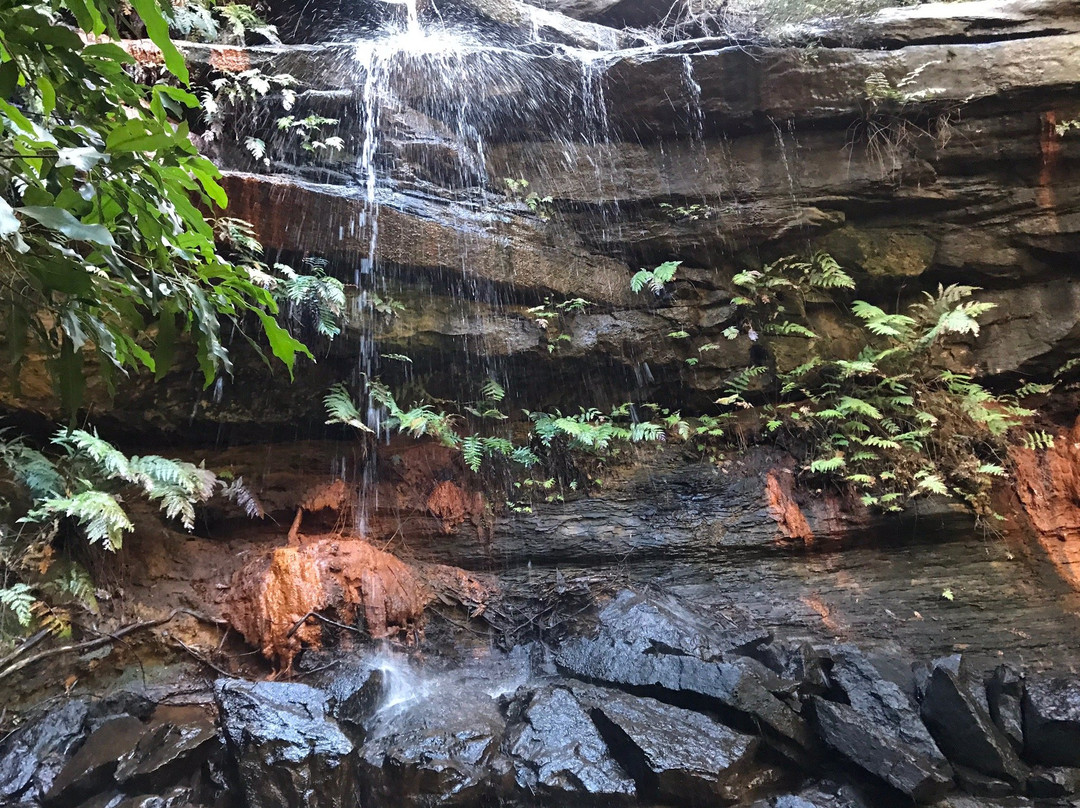 Brisbane Water National Park-Kariong必去景点