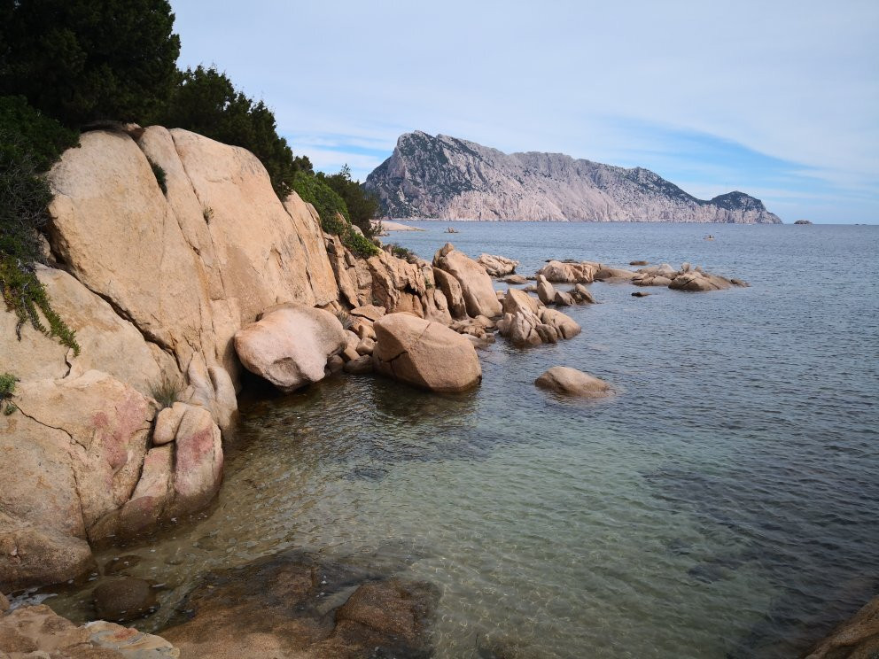 Spiaggia di Punta Molara-San Teodoro必去景点